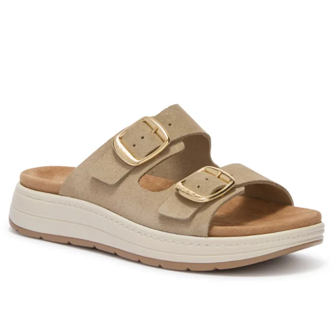 Scholl Scilla 2 Buckles Taupe Women